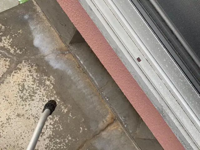 即日可能！国家資格保持のプロによるカメムシゼロ宣言！お家、お庭のカメムシを0に！サービスの画像