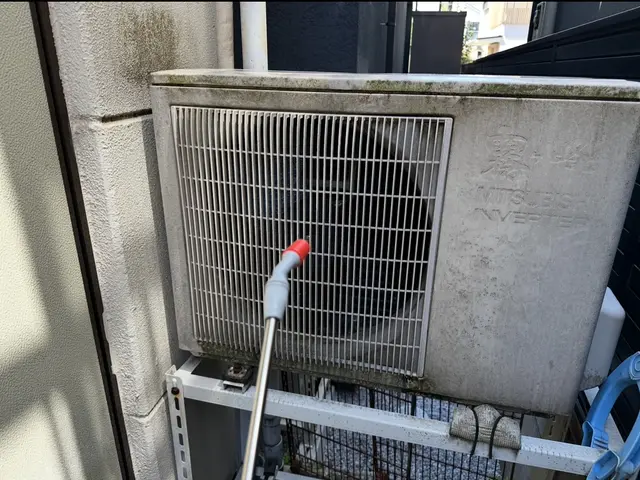 即日可能！国家資格保持のプロによるカメムシゼロ宣言！お家、お庭のカメムシを0に！サービスの画像