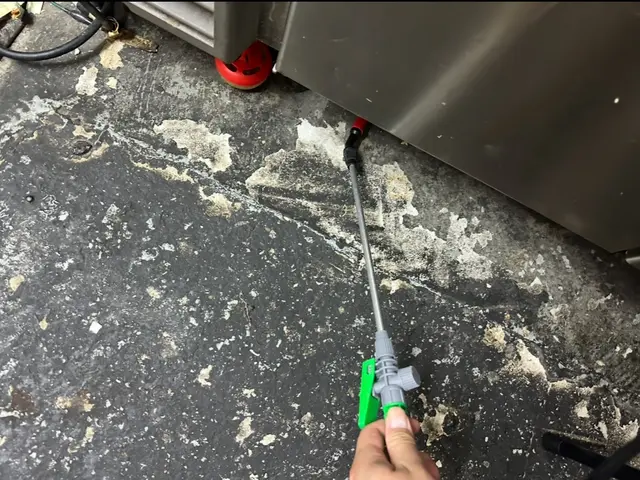 即日可能！国家資格保持のプロによるカメムシゼロ宣言！お家、お庭のカメムシを0に！サービスの画像