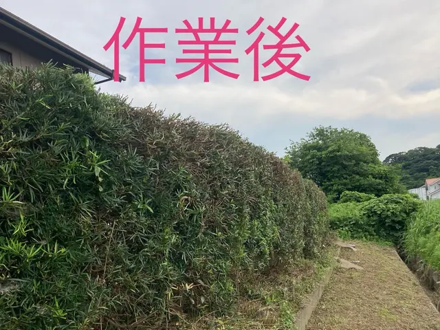 さっぱりきれいに整えます。ご要望に応じて出張無料見積致します。サービスの画像