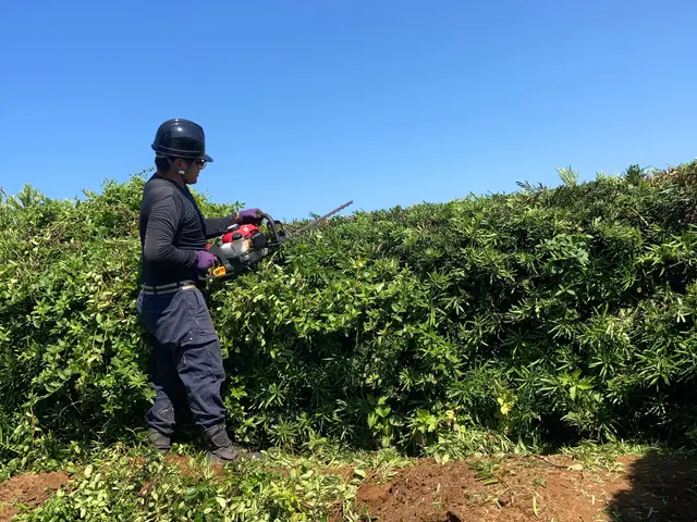 さっぱりきれいに整えます。ご要望に応じて出張無料見積致します。サービスの画像