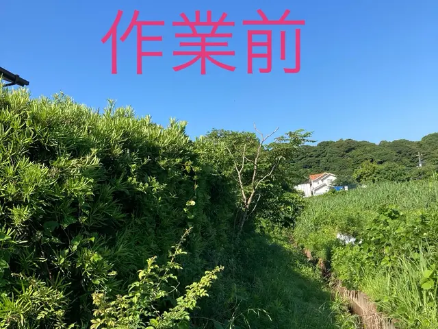 さっぱりきれいに整えます。ご要望に応じて出張無料見積致します。サービスの画像