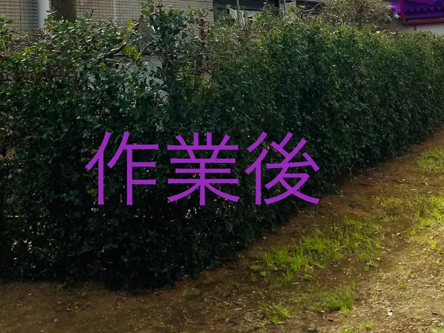 さっぱりきれいに整えます。ご要望に応じて出張無料見積致します。サービスの画像