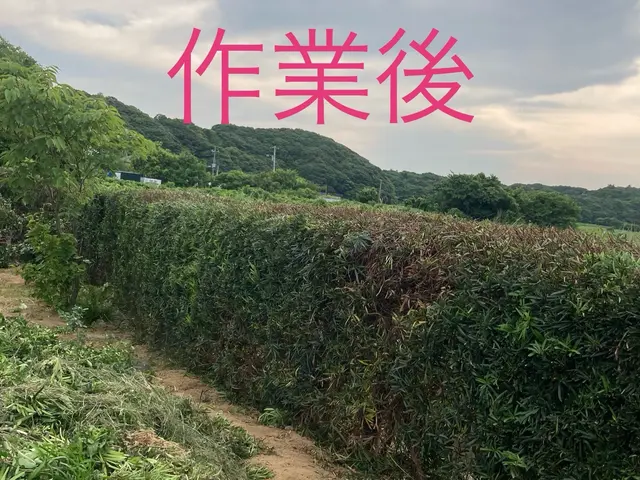 さっぱりきれいに整えます。ご要望に応じて出張無料見積致します。サービスの画像