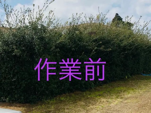 さっぱりきれいに整えます。ご要望に応じて出張無料見積致します。サービスの画像