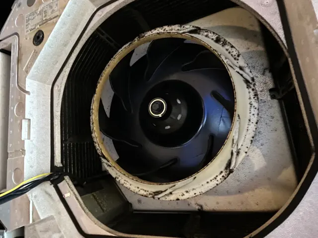 除菌抗菌！防臭！虫除け効果まで！エコ洗剤で大切な空間をクリアリフレッシュ！サービスの画像