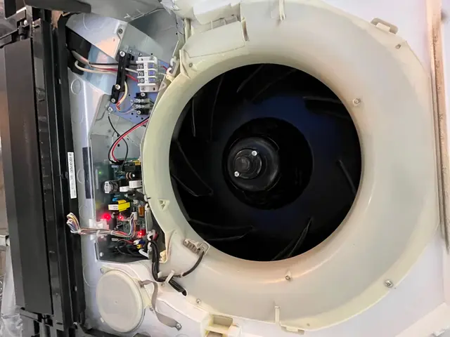 除菌抗菌！防臭！虫除け効果まで！エコ洗剤で大切な空間をクリアリフレッシュ！サービスの画像