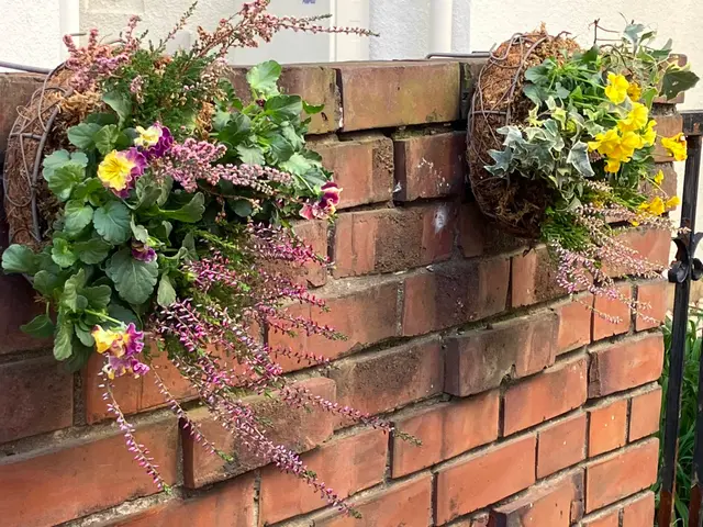 豊富な経験で安心！女性スタッフ同行可能♪アフターケアも力入れています！サービスの画像