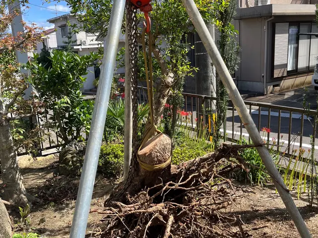 地域密着型で迅速丁寧な対応をお約束！ご予算や日程などまずはご相談下さいませ！サービスの画像