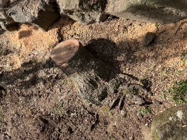 地域密着型で迅速丁寧な対応をお約束！ご予算や日程などまずはご相談下さいませ！サービスの画像