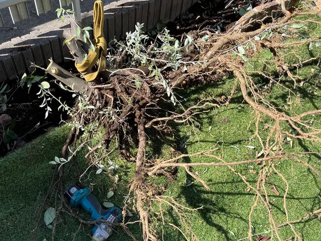 地域密着型で迅速丁寧な対応をお約束！ご予算や日程などまずはご相談下さいませ！サービスの画像