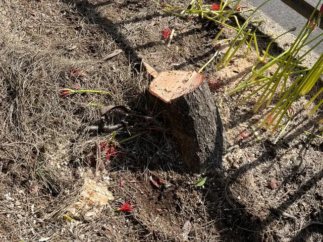 地域密着型で迅速丁寧な対応をお約束！ご予算や日程などまずはご相談下さいませ！サービスの画像