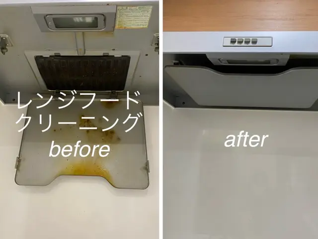 限定特価☆年末の大掃除前に水回りピカピカにします！気になる汚れお任せください！サービスの画像