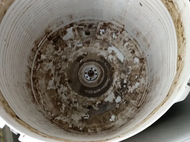 縦型洗濯機クリーニング乾燥機付きの洗濯機は12.000円増です。サービスの画像