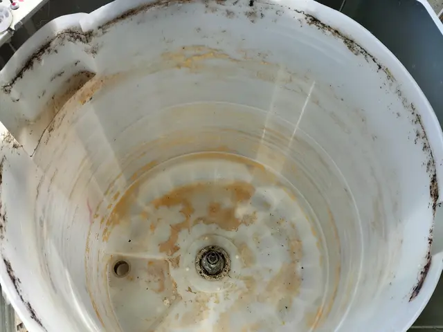 縦型洗濯機クリーニング乾燥機付きの洗濯機は12.000円増です。サービスの画像