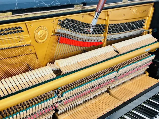 ピアノ内部もクリーニング！弾き心地が変わる弾き手に寄り添ったオーダーメイド調律サービスの画像