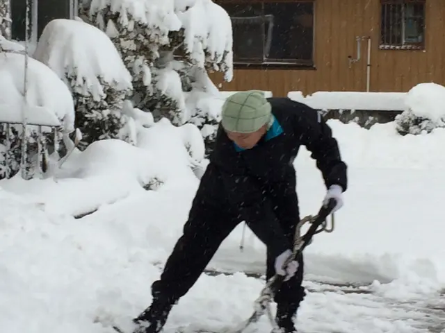大変な雪かきを是非お任せ下さい！人力もしくは除雪機を使用いたします♬サービスの画像