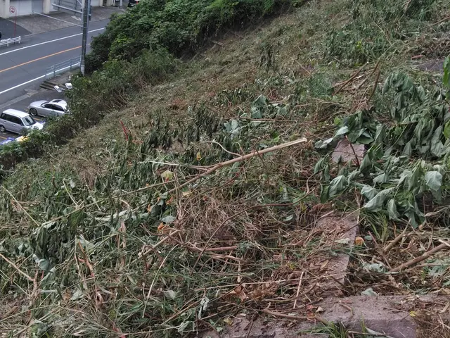 15年以上の実績を持つ店長が必ず訪問！お客様に寄り添う安心の作業サービスの画像