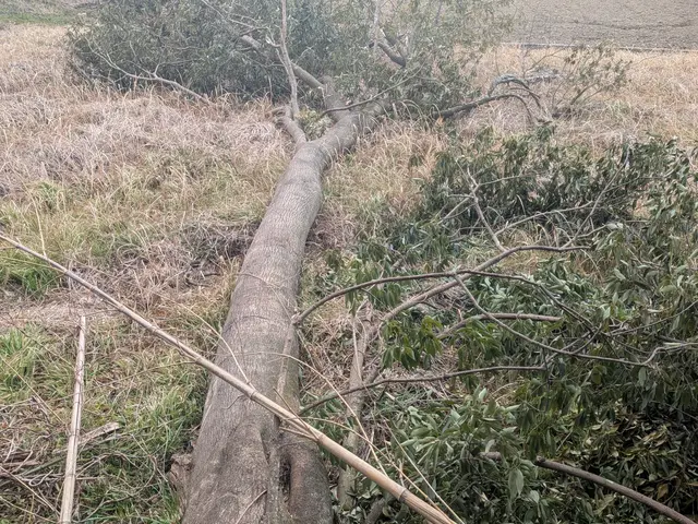 15年以上の実績を持つ店長が必ず訪問！お客様に寄り添う安心の作業サービスの画像