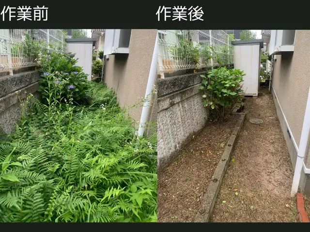 荒れた草むらもサッパリ！駐車場などのご依頼実績も多数！サービスの画像