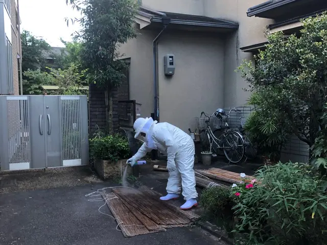 蜂の巣駆除サービスの画像