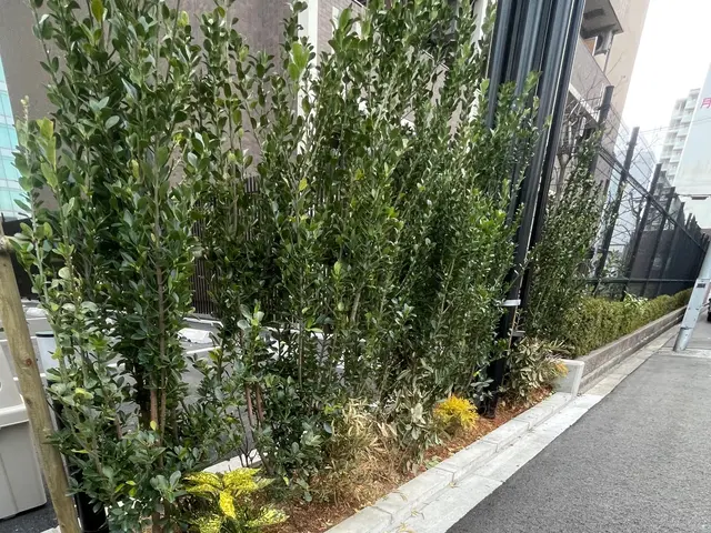 【2級造園施工管理技士】業歴7年◎自社スタッフが迅速丁寧に仕上げます。サービスの画像