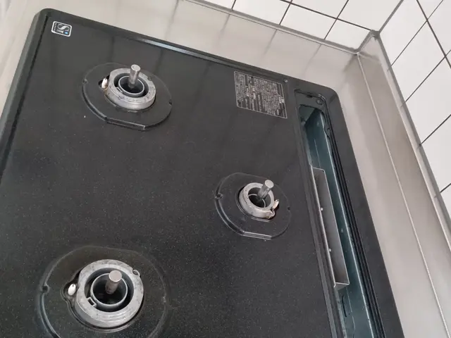 クリンネス1級が輝く生活のお手伝い！毎日の掃除や家事の代行はお任せください。サービスの画像