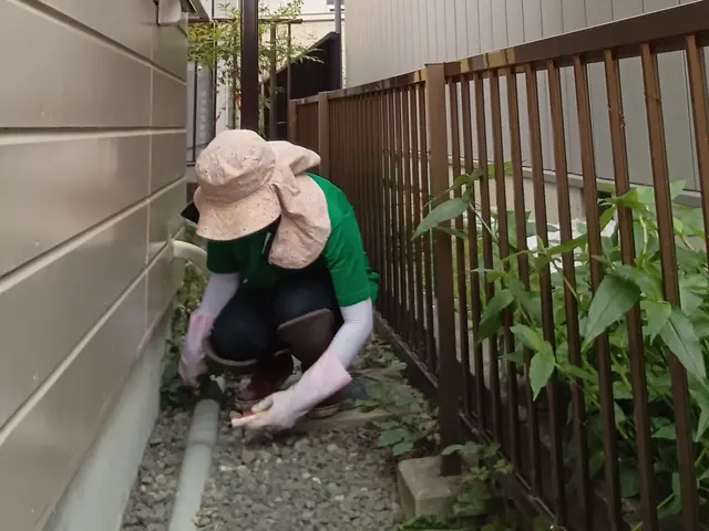 クリンネス1級が輝く生活のお手伝い！毎日の掃除や家事の代行はお任せください。サービスの画像