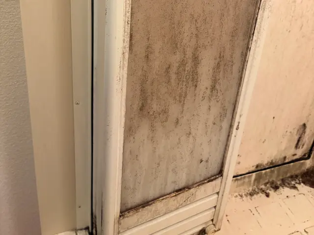 プロの技術でご満足いただけるように心を込めて作業いたしますサービスの画像