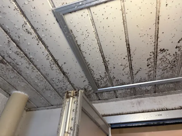 プロの技術でご満足いただけるように心を込めて作業いたしますサービスの画像