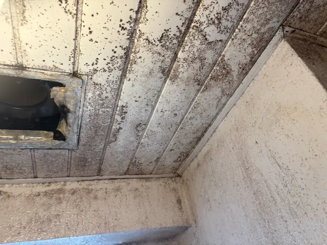 プロの技術でご満足いただけるように心を込めて作業いたしますサービスの画像