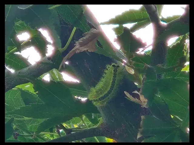 24時間、当日可能です！国家資格取得のプロによる徹底駆除！まずは無料相談から→サービスの画像