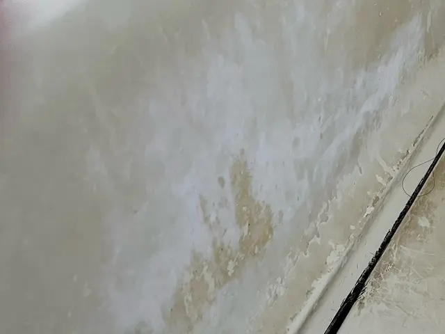 毎日の疲れを取るなら、綺麗なお風呂で!! カビ・水垢・石鹸カスなど綺麗にします！サービスの画像