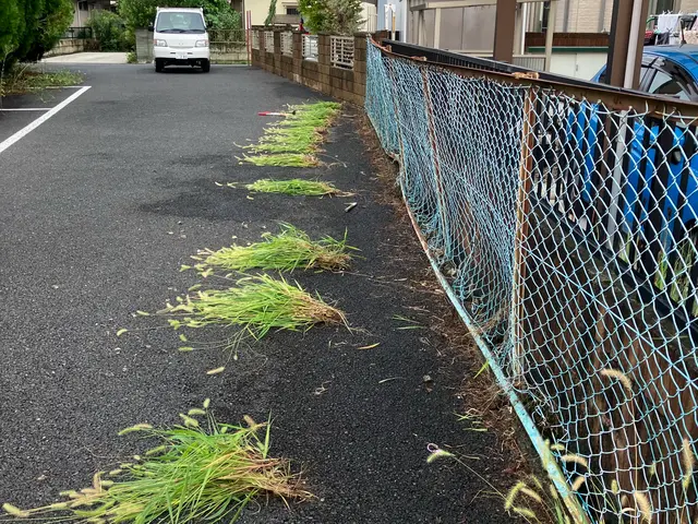 プロの技術でご満足いただけるように心を込めて作業いたしますサービスの画像