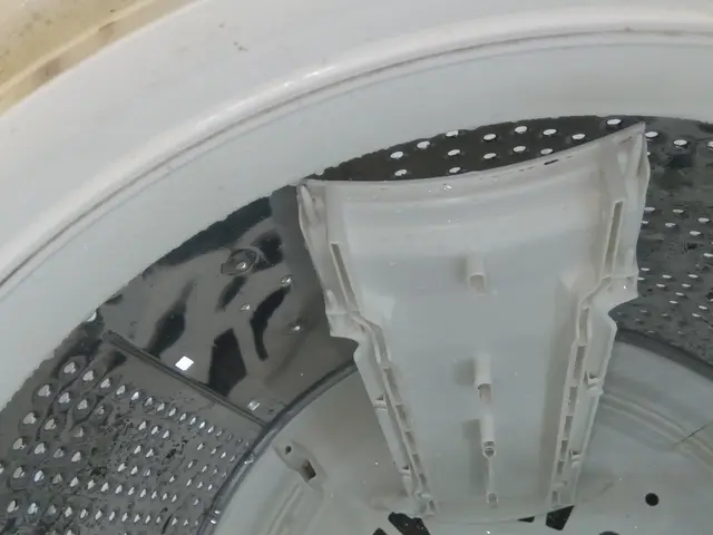 洗濯槽クリーニング　静かな高圧洗浄機　特殊洗浄ガンクリーニングサービスの画像