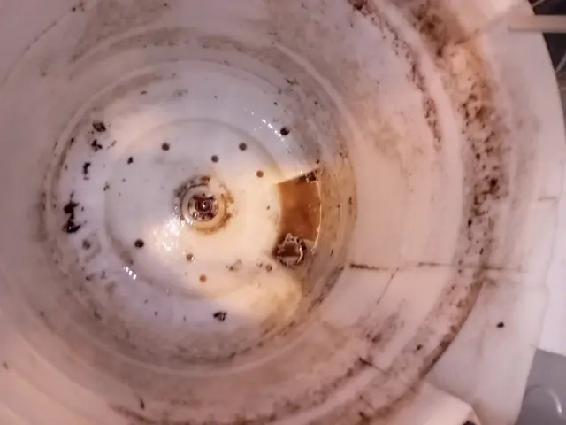 洗濯槽クリーニング　静かな高圧洗浄機　特殊洗浄ガンクリーニングサービスの画像