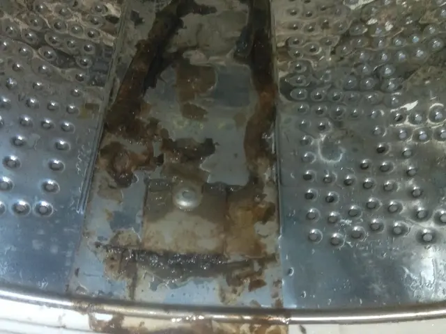 洗濯槽クリーニング　静かな高圧洗浄機　特殊洗浄ガンクリーニングサービスの画像