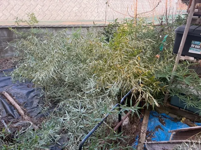 草むしりでお庭すっきり！サービスの画像