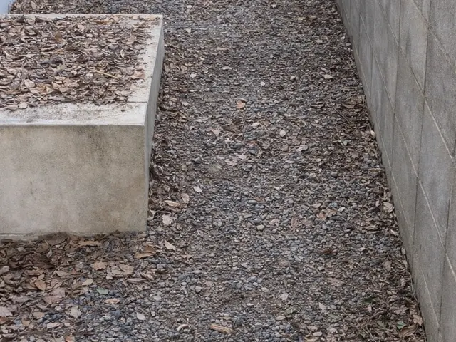 草むしりでお庭すっきり！サービスの画像