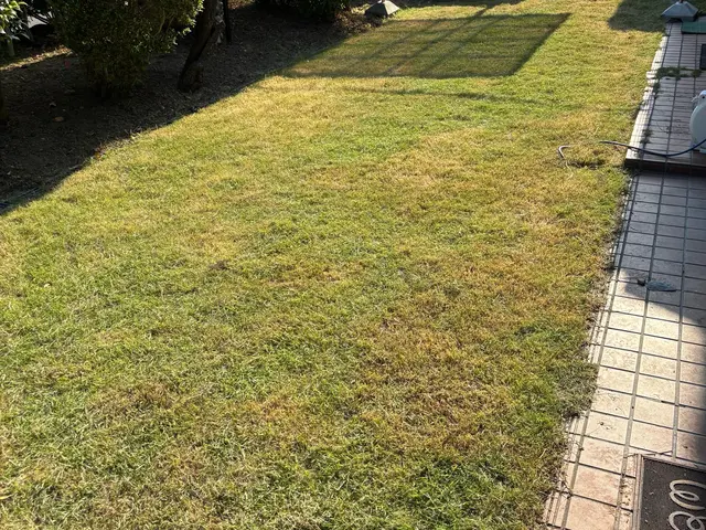 お庭や空家の草抜きが大変。マンション周りの草抜きをお願いしたい。お任せください！サービスの画像