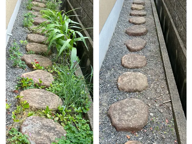 お庭や空家の草抜きが大変。マンション周りの草抜きをお願いしたい。お任せください！サービスの画像