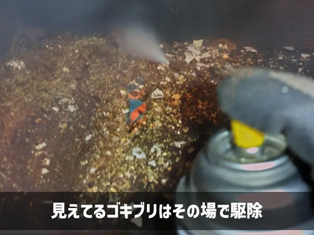 【東京練馬近郊】2種の薬剤噴霧と適切なベイト剤設置でチャバネ退治！【損保加入済】サービスの画像