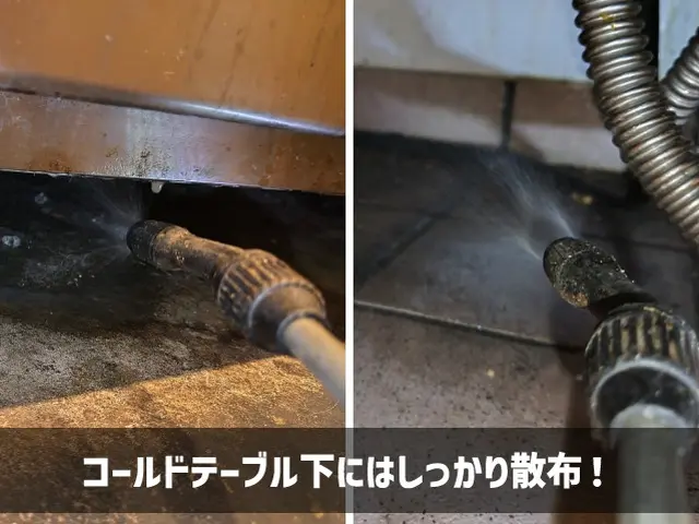 【東京練馬近郊】2種の薬剤噴霧と適切なベイト剤設置でチャバネ退治！【損保加入済】サービスの画像