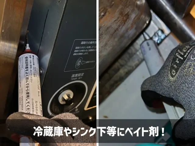 【東京練馬近郊】2種の薬剤噴霧と適切なベイト剤設置でチャバネ退治！【損保加入済】サービスの画像