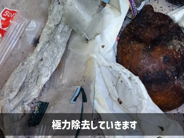 【東京練馬近郊】2種の薬剤噴霧と適切なベイト剤設置でチャバネ退治！【損保加入済】サービスの画像