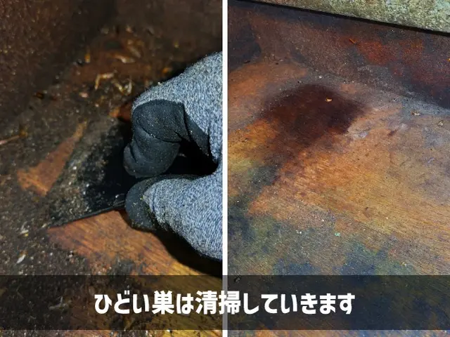 【東京練馬近郊】2種の薬剤噴霧と適切なベイト剤設置でチャバネ退治！【損保加入済】サービスの画像