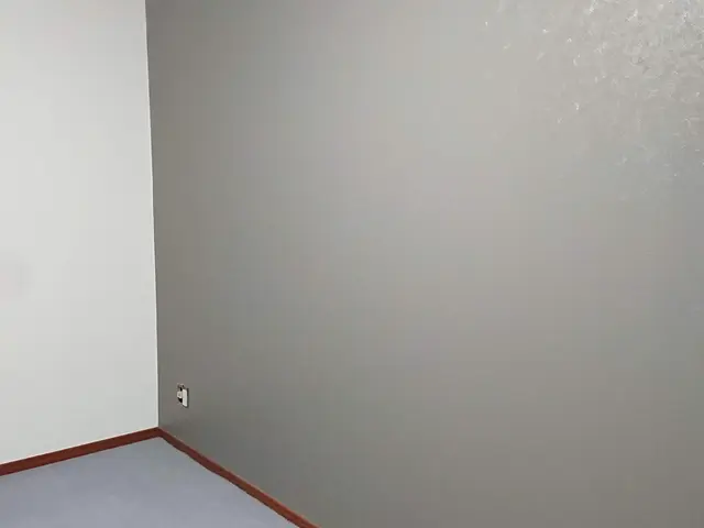 ☆天井壁の塗り替え、新規ボードからの塗装にも対応☆東京板橋区のまちのペンキ屋さんサービスの画像