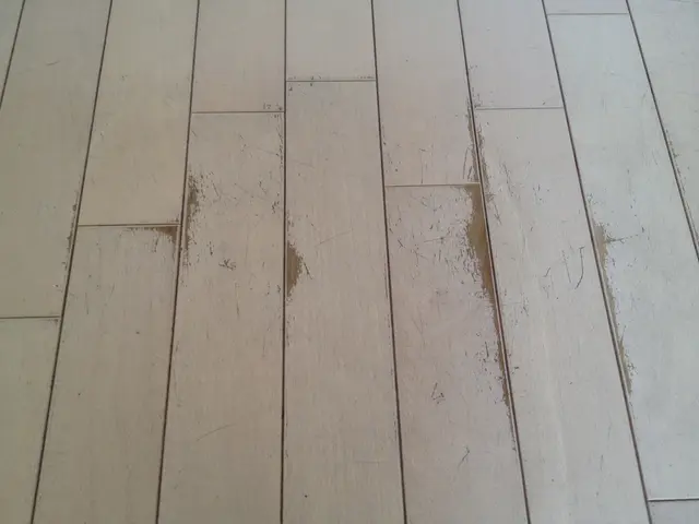 ☆即レス・スピーディ対応◎損害保険加入サービスの画像