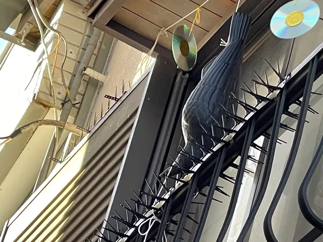 〚春から初夏がピーク！〛鳩対策なら当店にお任せください！サービスの画像