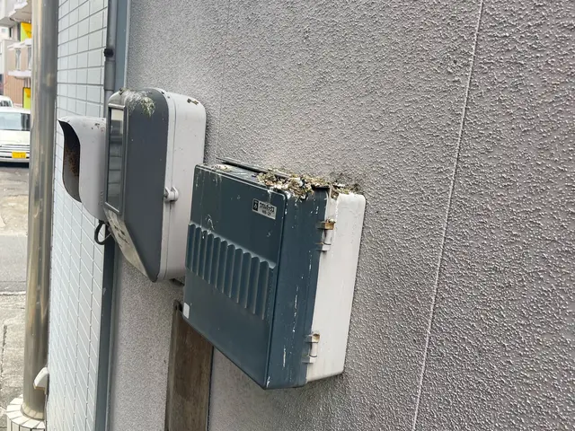 〚春から初夏がピーク！〛鳩対策なら当店にお任せください！サービスの画像